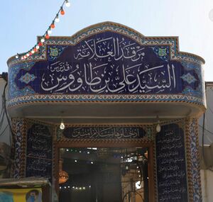 السيد ابن طاووس